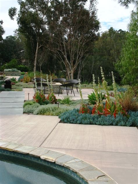 debora carl landscape design Contemporáneo Jardín San Diego de debora carl landscape