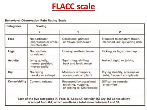 Behavioral Pain Scale Dunia Belajar