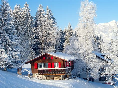 Winter Holiday House Swiss Alps Snow Trees
