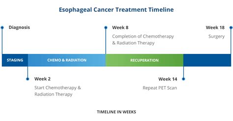 Esophageal Cancer Treatment Dr Fontaine Top Surgeon In Tampa