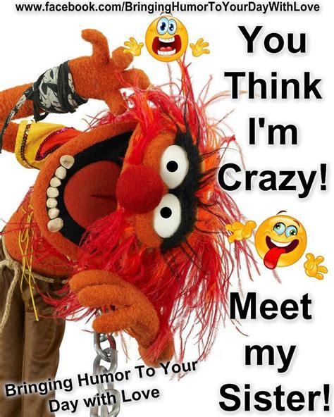 Crazy Sister Muppets Cartoon Pics Animals