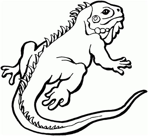 Iguana para pintar HD