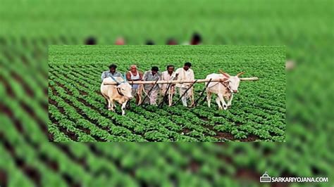 Maybe you would like to learn more about one of these? Farmer Yojana In Maharashtra - Farmer Foto Collections