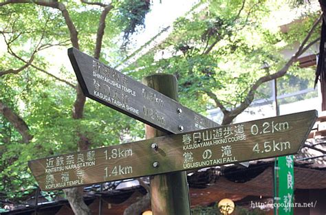 The website collected by this website comes from the. 水谷茶屋（みずやちゃや）は四季折々の景色が綺麗な私のお気 ...