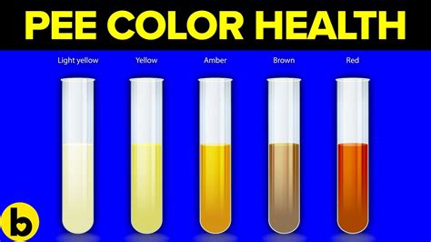 This Urine Color Chart Explains How To Read Your Pee Bulletproof