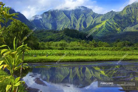 Green Mountains Peaks Reflected In Clear Lake Water With Grass On Shore