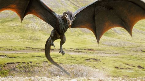 Dragons Game Of Thrones Wiki Fandom Powered By Wikia