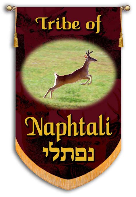 Tribes Of Israel Tribe Of Naphtali Printed Banner Christian Banners