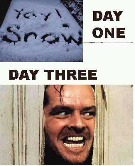 43 Snow Day Memes Because Its A Fricking Blizzard Out There