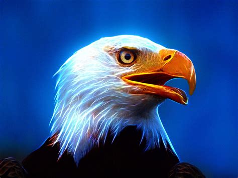 Owned service that stores a user's location and shares it with other authorized services. Fire Eagle Wallpapers - Wallpaper Cave