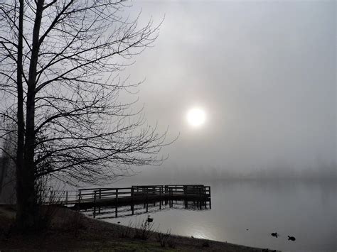 A Foggy Winter Morning Rpics