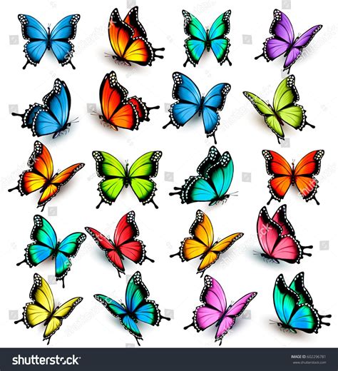 Collection Of Colorful Butterflies Flying In Different Directions