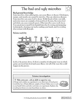 5th grade Science Worksheets: All about germs | GreatKids | Germs