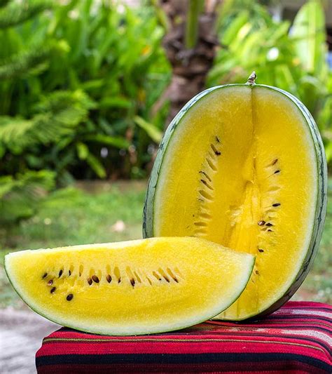 3 Benefits Of Yellow Watermelons How To Store Them And Recipes