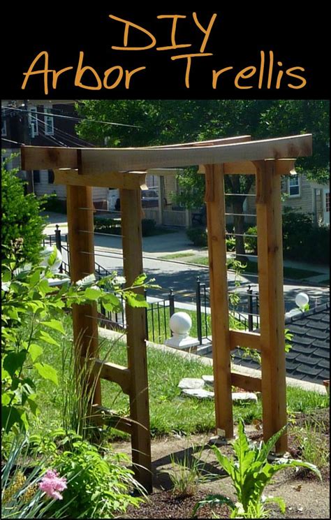 What Plants Do You Think You Could Grow In Your Area If You Had This Arbor Trellis Is This