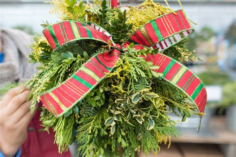 These decorated balls of evergreens, holly and herbs hang over doorways during the christmas holidays. Kissing Ball, Fresh Greens, Christmas - Merrifield Garden ...