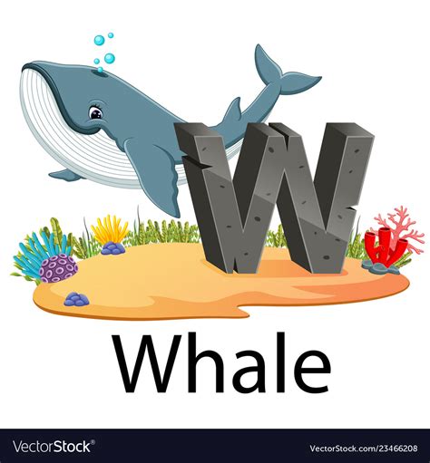 Animals that start with the letter w · wildebeest · wolf · wolverine · wombat · woodpecker · worm. Cute zoo animal alphabet w for whale Royalty Free Vector