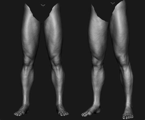 Zbrush Anatomy Leg Anatomy Muscle Anatomy Anatomy Poses Anatomy