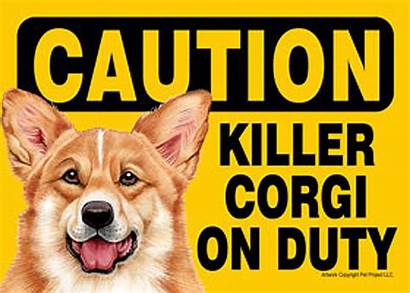 Killer Dog Sign Yorkie Duty Chihuahua Corgi
