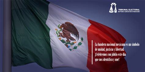 total 91 imagen frases sobre la bandera nacional mexicana abzlocal mx