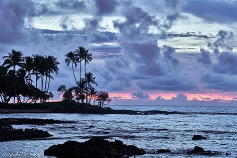 Beautiful Sunset In Kahala Big Island Hawaii Photograph By