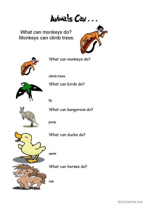 What Animals Can Do English Esl Worksheets Pdf And Doc