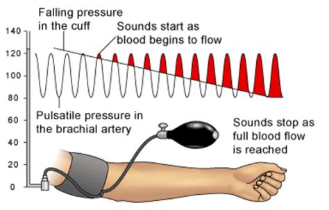 How Is Blood Pressure Is Measured Socratic
