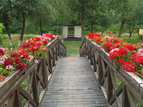 Flowers Bridge Fairy Garden Plants Nature