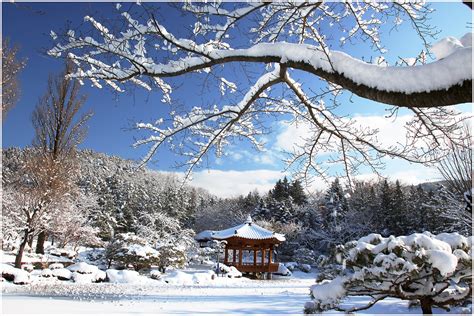 Masuk Angin Saat Musim Dingin Jepang Apa Obat Manjurnya 1 Gate