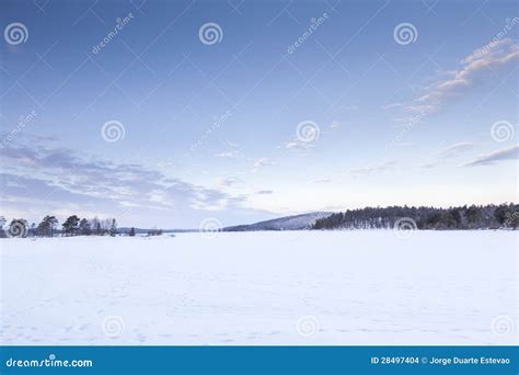 Frozen Lake In Inari Finland Stock Photo Image Of Pole White 28497404