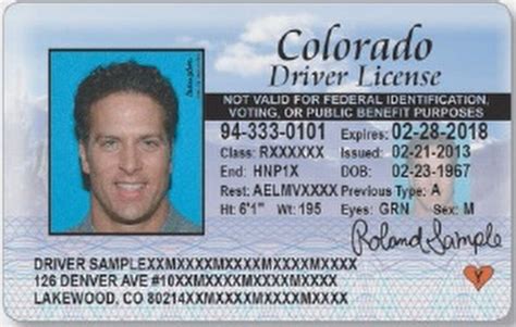Where Is The Dps Audit Number On Drivers License Sterluli