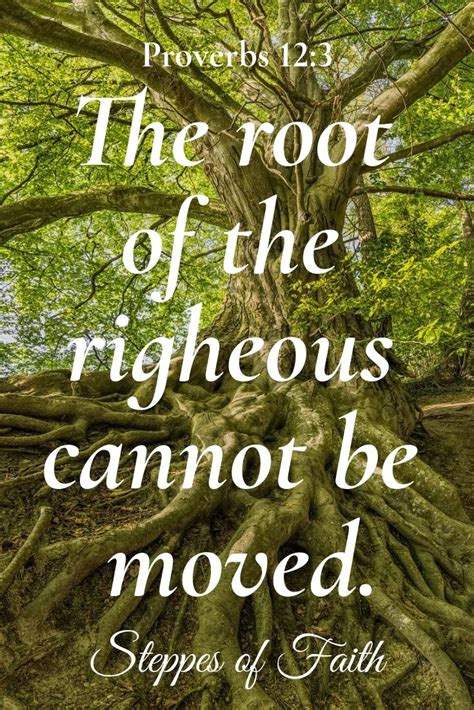 Put On The Righteousness Of God Root Yourself In His Strength Trees