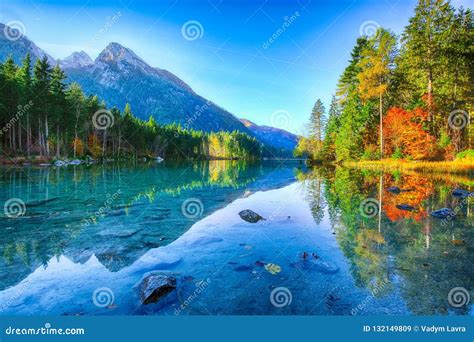 Beautiful Autumn Sunrise Scene With Trees Near Turquoise Water O Stock