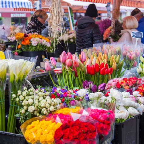 How To Find The Best Farmers Market Flowers For Your Home Farmers