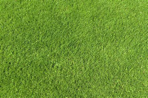 Pin By War Architecture On Visualisation Grass Texture Seamless