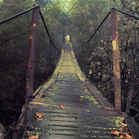 Bridge Woods Mystery Mysterious Autumn Old Pinterest