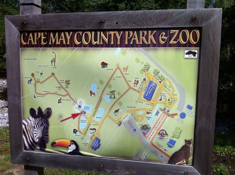 Cape May County Zoo A Great Day Trip From Home Or The Shore ~ Jersey