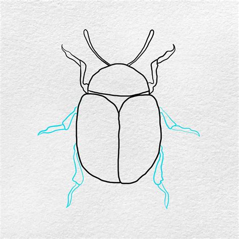 How To Draw A Beetle Really Easy Drawing Tutorial In