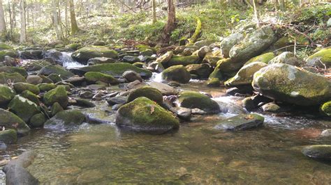 Free Stock Photo Of Moss Covered Rocks Mountain Stream Nature Photography
