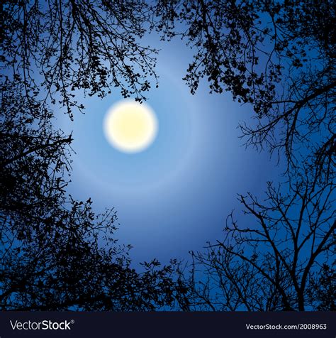 Night Forest Gainst The Night Sky In A Full Moon Vector Image