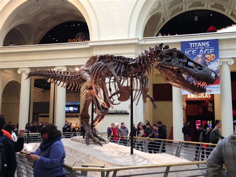 Sue The Trex The Most Complete Trex Skeleton Ever Discovered Chicago