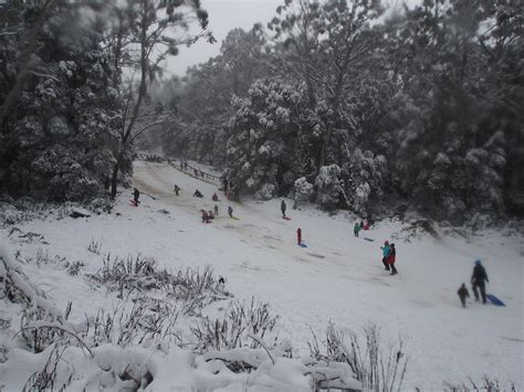 Mt Donna Buang In The Snow Melbourne