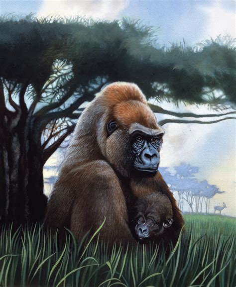 Gorilla Painting By John Rowe Fine Art America