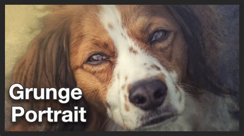 Dog Photo Portrait Grunge Effect Photoshop Tutorial Youtube