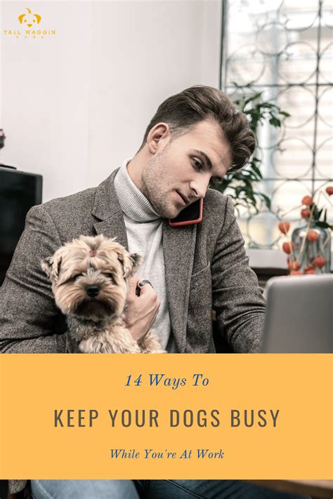 14 Ways To Keep Your Dog Busy While Youre At Work Dogs Your Dog