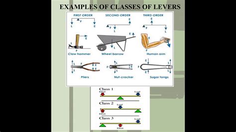 Simple Machines Load Fulcrum Effort And Classes Of Lever Youtube