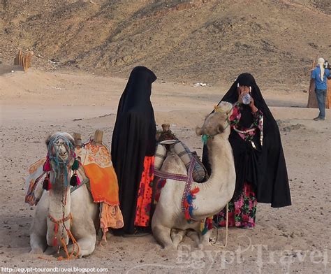 If you want to know more about our egypt tours, daily tours, nile river cruise, and the services we are offering, please contacts us on the following number. Egypt Travel: Camel ride in Egypt