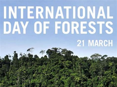 International Day Of Forests Key Forest Facts