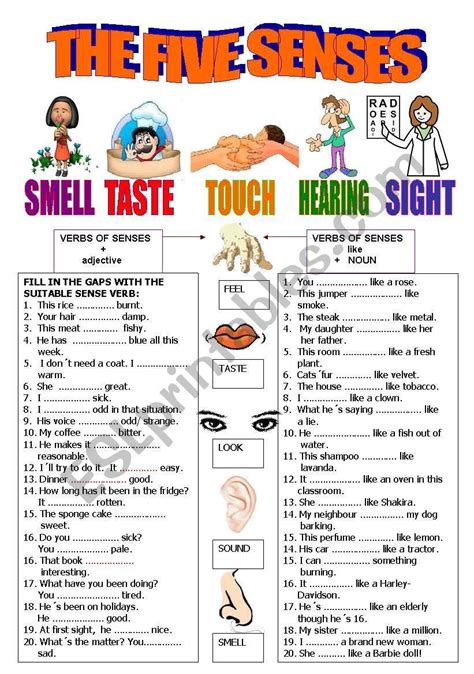 Verbs Of The Senses Key Esl Worksheet By Anareb Nouns And