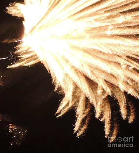 Golden Explosion Photograph By Chelsylotze International Studio Fine